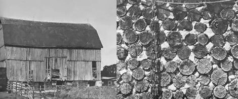 A Century (or More) of Cordwood Homes Image